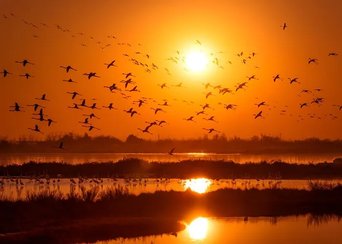 Sun House - Host Solution Apartman *